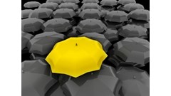 Kunert Insolvenzverfahren